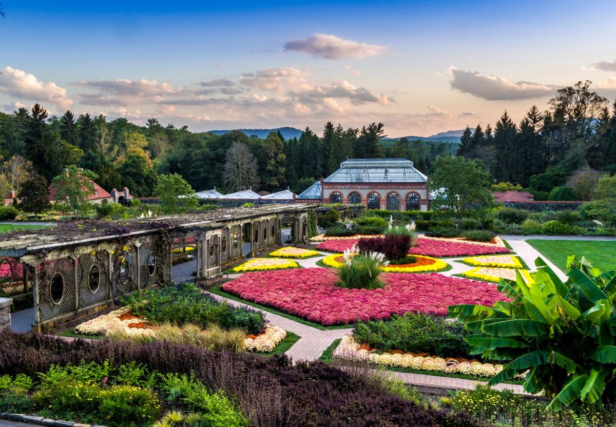 Biltmore Blooms