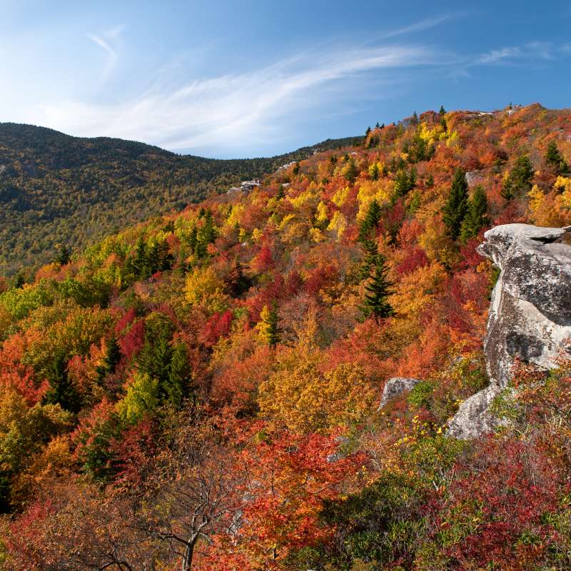 Top 10 Eco-Friendly Ways to Experience Fall in Asheville