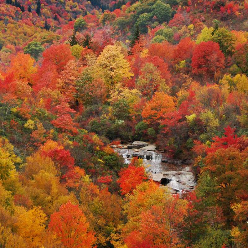 5 Things You Need to Know About Fall in Asheville