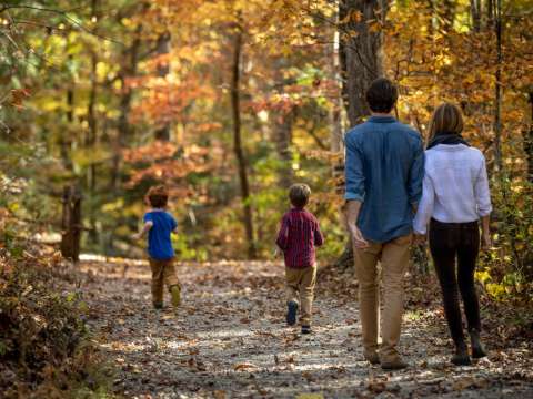 Top Family-Friendly Fall Activities in Asheville