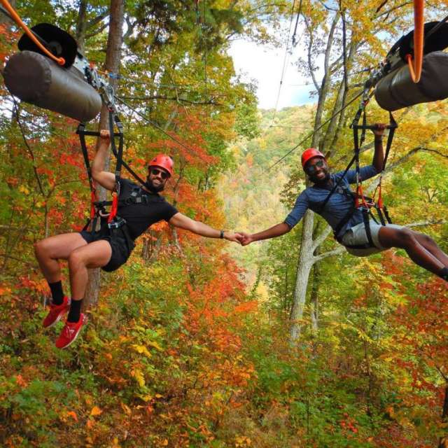 8 Unique Ways to See Fall Color in Asheville