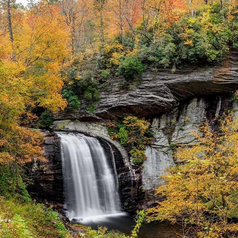 Best Fall Hikes Near Asheville, NC