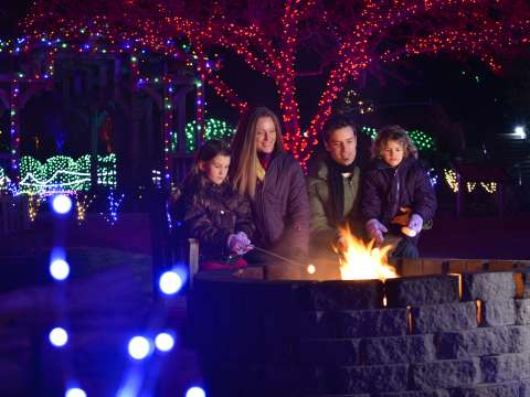 Top 2023 Holiday Festivals & Events in Asheville