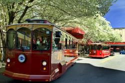 Red Trolleys in Spring