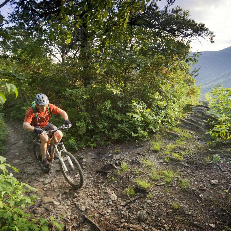 The Most Popular Mountain Biking in WNC