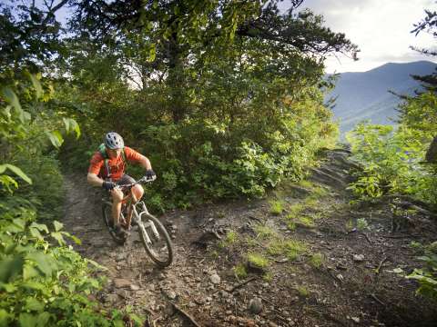 The Most Popular Mountain Biking in WNC