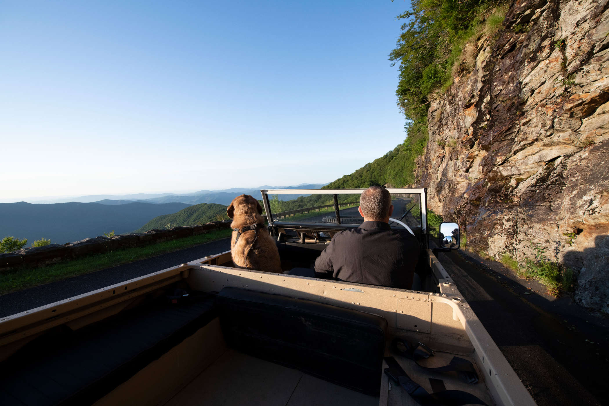 a man and his dog taking a drive