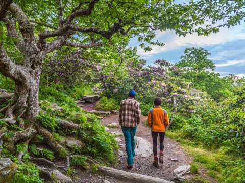 Asheville Hiking Guide: The Trail Starts Here