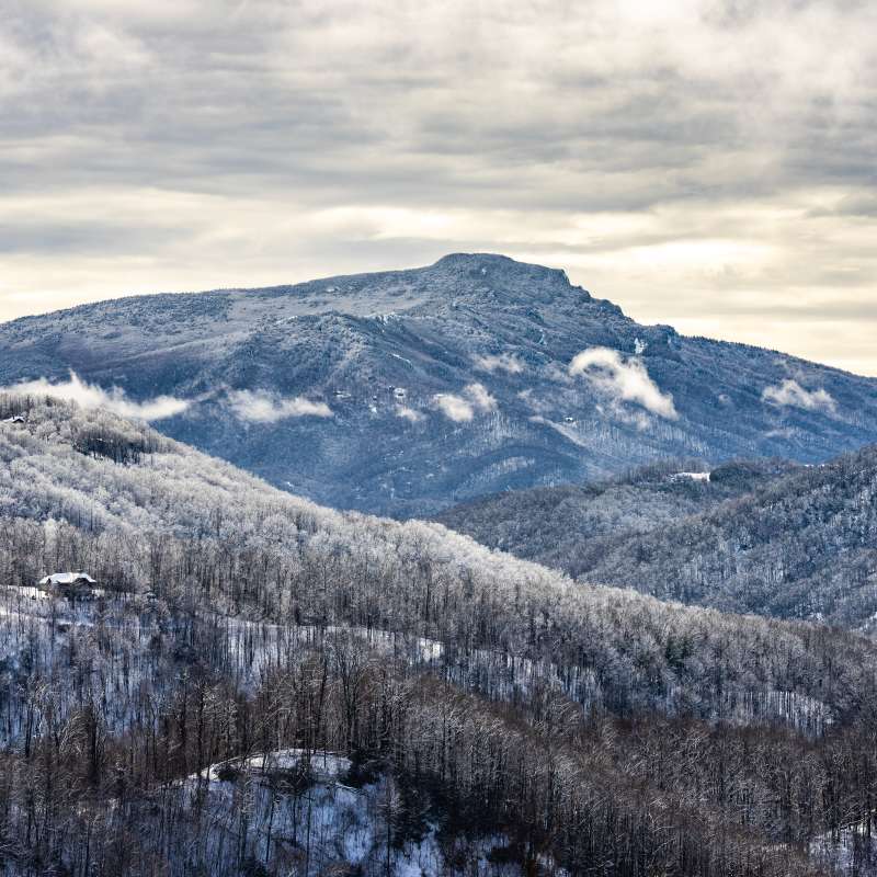 Discover Asheville's Top 5 Winter Wonders