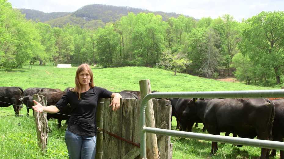 Amy Ager | Hickory Nut Gap Farm