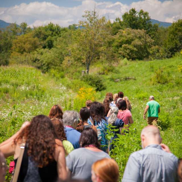 Pick Your Own Produce at a U-Pick Farm in Asheville