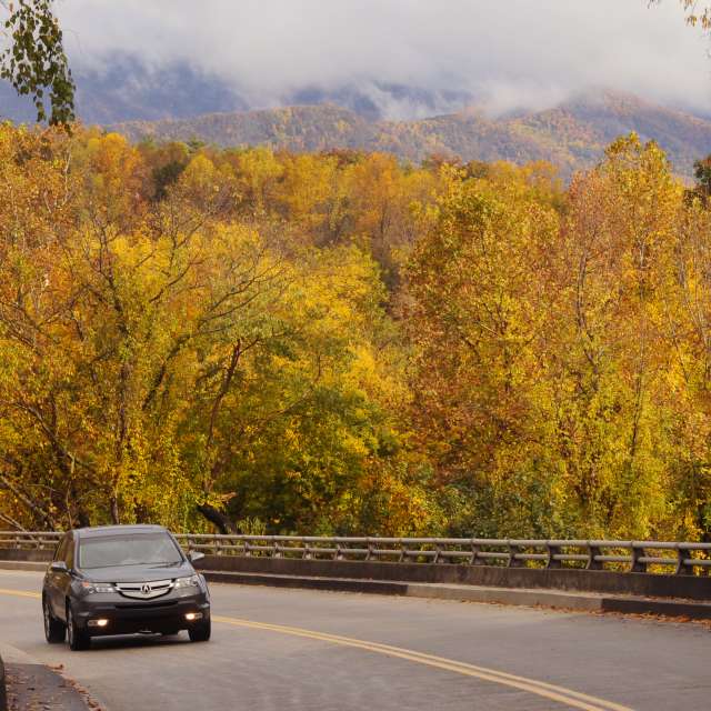 Best Fall Drives For Experiencing Craft Art in Asheville