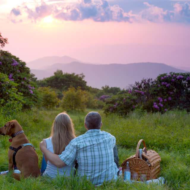 Super Scenic Picnics with 360-Degree Views