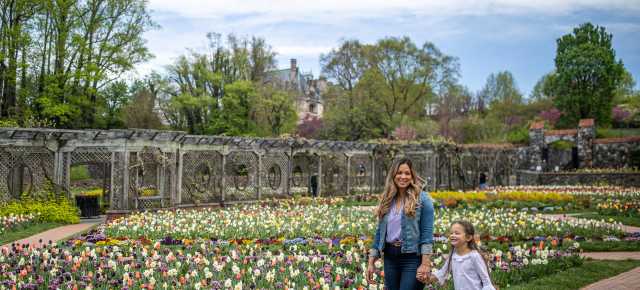 Spring in Asheville