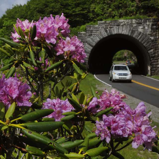 The Beginning of the Blue Ridge Parkway